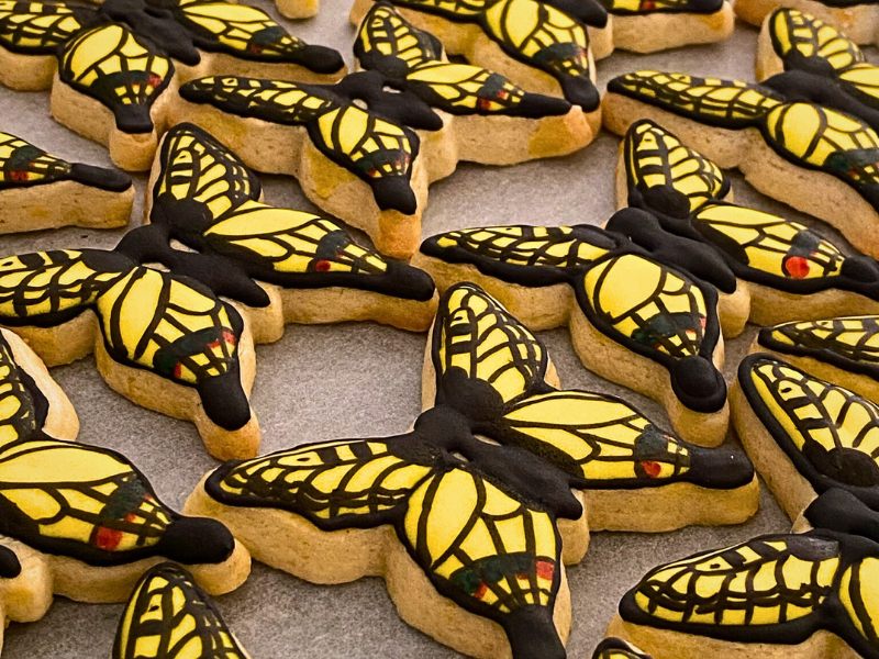 Kekse mit viel Liebe zum Detail dekoriert - für Deinen ganz besonderen Tag.